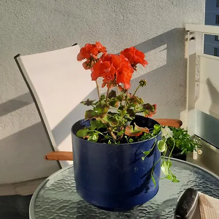 Apartman Topi Top-floor Apartment, Balcony, Parking Oulu