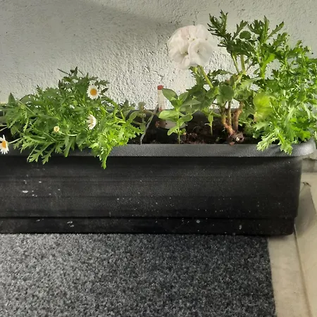 Topi Top-floor Apartment, Balcony, Parking Lejlighed *