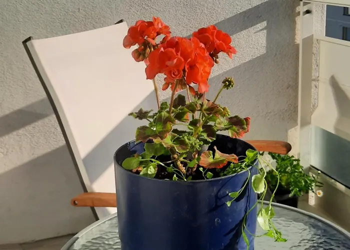 Apartamento Topi Top-floor Apartment, Balcony, Parking Oulu