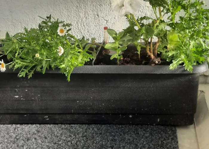 Topi Top-floor Apartment, Balcony, Parking Apartamento *